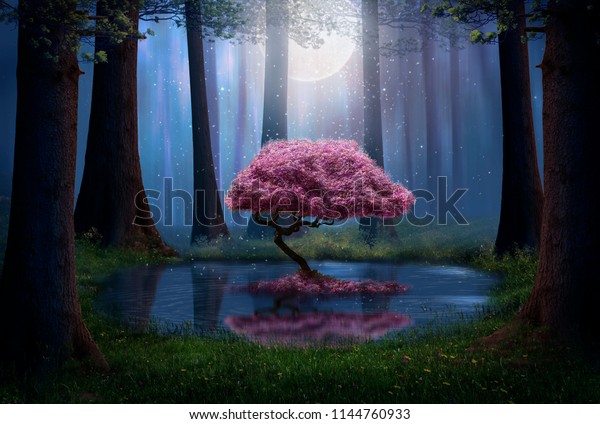magical tree pond