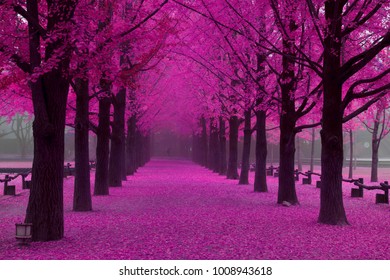 2,237,507 Pink Trees Images, Stock Photos & Vectors | Shutterstock