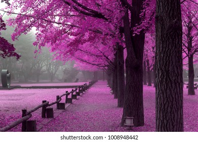 Pink Treenami Island South Korea Stock Photo (Edit Now) 1008948442