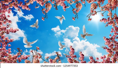 pink trees and doves in sunny sky background