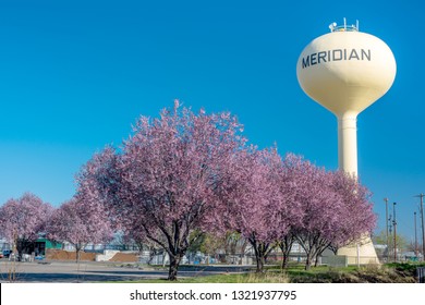 Pink Trees In Meridian Idaho With Yellow Water Tower And Blue Sky