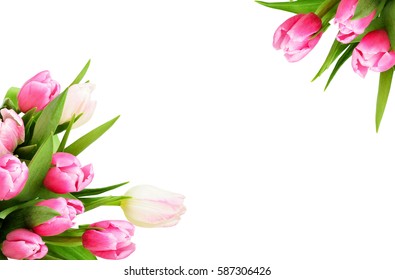 Pink Tulip Flowers Corners Isolated On White Background