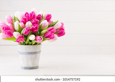 Pink tulip on the white background. Easter and spring greeting card.
