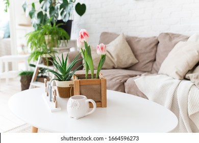 Pink Tulips With Aloe On A White Table. Plants In Interior Concept. Spring Light Interior. 8 Of March Concept. Cozy Home Concept.