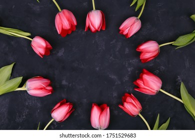 Pink Tulips Flowers on rustic black background for March 8, International Womens Day, Birthday, Valentines Day or Mothers day