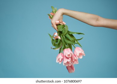  pink tulips in hand, flowers                               - Shutterstock ID 1076800697