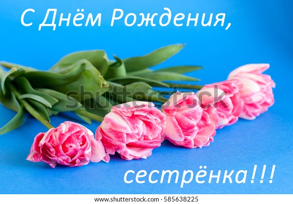 Pink Tulips On Blue Background Words Royalty Free Stock Image