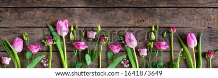 Pink tulips on old rustic wood. Fresh spring flowers decorated in a row for mothersday. Wide photography for a background with space for text. Top view, flat lay.
