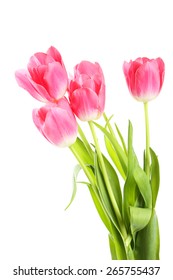 Pink Tulips On White Background