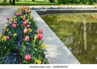 Pink tulips and yellow daffodils bloom in the city park. spring flowers on the background of the pond - Powered by Shutterstock