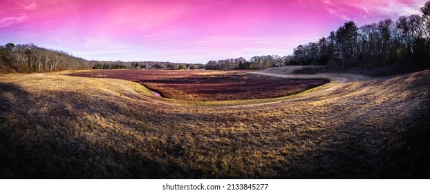 Pink Twilight Cranberry Bog Landscape At Sunset On Cape Cod, Massachusetts