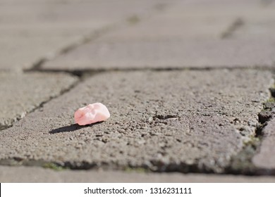 Pink used chewing gum spit out on the pavement