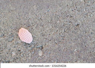 Pink used chewing gum spit out on the pavement, step on
