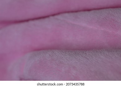 Pink Velour Plush Cloth Textured Background