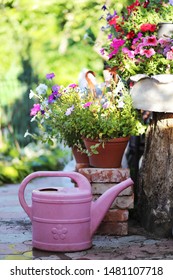 Pink watering can in the garden on a background of flowers - Shutterstock ID 1481107718