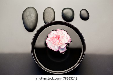 Pink And White Carnation Floating In A Black Bowl With Aligned Black Pebbles Above It