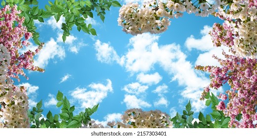 Pink white cherry blossoms, green tree leaves and cloudy sky. photo for stretch ceiling decoration