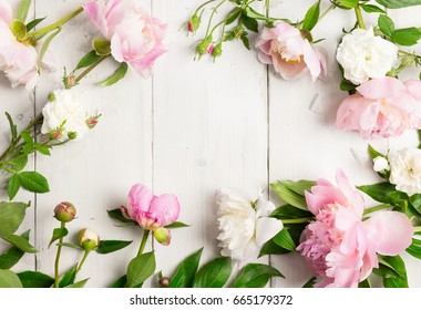 Natural Beauty Podium Backdrop Spring Rose Stock Illustration ...