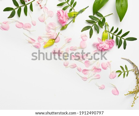 Similar – Tropical palm leaves and exotic flower frames