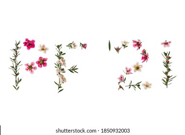 pink and white manuka flowers Pour Feliciter 2021 - Happy New Year 2021 isolated on white background