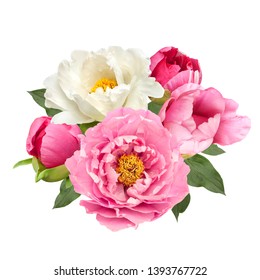 Pink And White Peony Flowers Bouquet Isolated