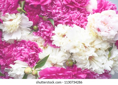 Pink White Peony Flowers Bundle Close Up Styled Photography