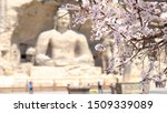 Pink and white Plum blossom
infront of Stone Buddha statue,China