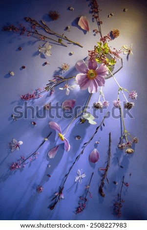 Similar – Image, Stock Photo Flower store (7) anemone
