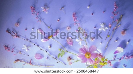 Similar – Image, Stock Photo Flower store (7) anemone