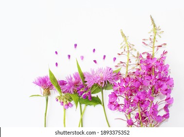 Pink wildflowers on a white background. Background for a greeting card.