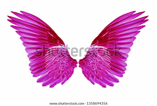 Pink Wings Bird On White Background Stock Photo (Edit Now) 1358694356