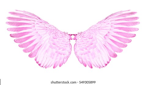 pink-wings-birds-on-white-260nw-549305899.jpg