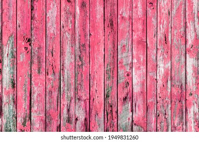 Pink Wood Plank With Peeled Paint, Rough And Weathered Wood Surface