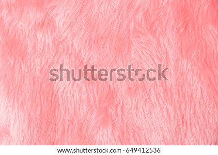 Pink wool , soft fur texture , beautiful Wool hair , Abstract fabric background , natural sheep skin top view