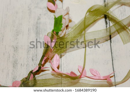 Similar – Garden flowers frame background with scissors