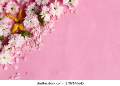 Pink and yellow buds in the upper left corner on a pink background - Shutterstock ID 1709146645