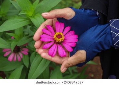 pink zinnia flowers in a woman's hand - Powered by Shutterstock