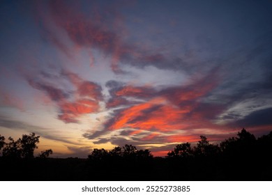 pinkish-blue morning sky with dark trees - Powered by Shutterstock