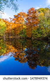 Pinnacle Mountain State Park In Arkansas State.