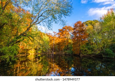 Pinnacle Mountain State Park In Arkansas State.