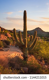 Pinnacle Peak In Scottsdale Arizona. A Hiking Park Located In The Hills Of Arizona.