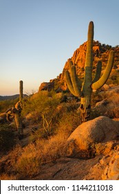 Pinnacle Peak In Scottsdale Arizona. A Hiking Park Located In The Hills Of Arizona.