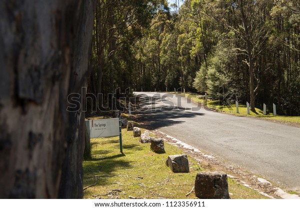 Pinnacle Road\
runs past The Springs in Hobart, Tasmania. Trees swallow the road\
on the climb atop Mount\
Wellington.