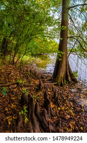 Pinnacle State Park. Arkansas State Of US.