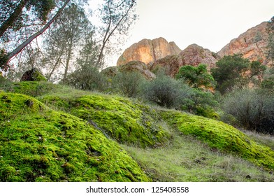 Pinnacles National Monument In California, USA.