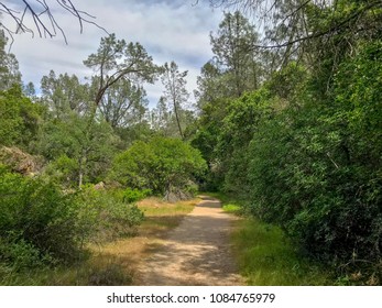 Pinnacles National Park, California. Flat walking trail with green trees, starting at Chaparral entrance, hiking the High Peaks & Balconies Cave Loop Trail.