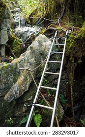 Pinnacles Trek In Gunung Mulu National Park