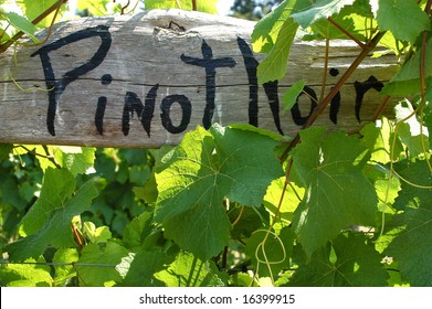 Pinot Noir