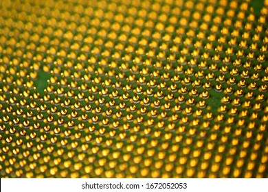 Pins of central processor unit. CPU close-up. Bottom side.