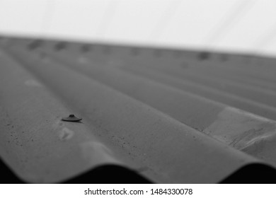 Pins on the gray roof